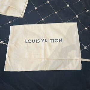 Louis Vuitton duster for a small handbag